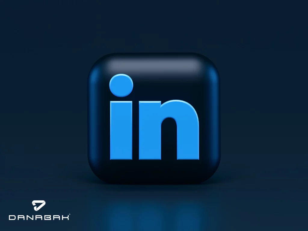 The Professional Network: LinkedIn​